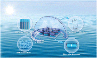Graphical abstract: Bioinspired and 3D-printed solar evaporators for highly efficient freshwater-electricity co-generation