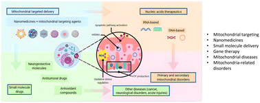 Graphical abstract: Drug delivery systems for mitochondrial targeting