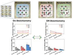 Graphical abstract: Stoichiometric effects on bulk stress relaxation to enhance reprocessability in covalent adaptable networks