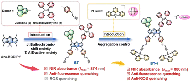 Graphical abstract: Molecular engineering of asymmetric aza-BODIPY dyes for high-performance phototherapy