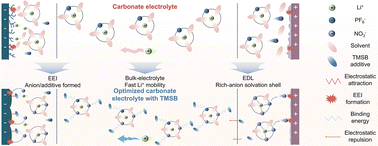 Graphical abstract: Dual-descriptor-guided design of an electric field-sensitive solubilizing additive for stable lithium metal batteries