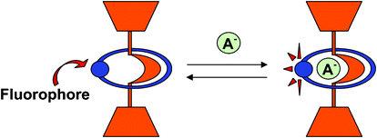 Graphical abstract: Anion directed synthesis of a hydrogensulfate selective luminescent rotaxane