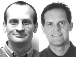 Graphical abstract: Nanowire electrochemical sensors: can we live without labels?