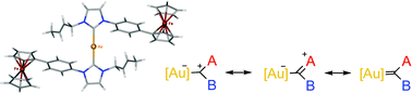 Graphical abstract: Carbene complexes of gold: preparation, medical application and bonding