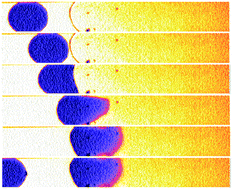 Graphical abstract: Optimisation of a microfluidic analysis chamber for the placement of microelectrodes