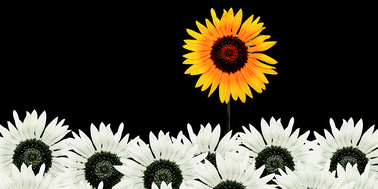 Graphical abstract: Editorial – A Flying Start!