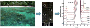 Graphical abstract: Advances in microfluidics for environmental analysis