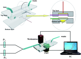 Graphical abstract: Monitoring of bovine serum albumin using ultrasensitive electrochemiluminescence biosensors based on multilayer CdTe quantum dots modified indium tin oxide electrodes