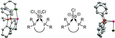 Graphical abstract: Structural diversity for phosphine complexes of stibenium and stibinidenium cations