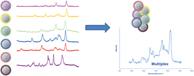 Graphical abstract: Surface enhanced Raman scattering for multiplexed detection