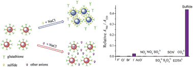 Graphical abstract: Highly specific colorimetric recognition and sensing of sulfide with glutathione-modified gold nanoparticle probe based on an anion-for-molecule ligand exchange reaction