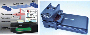 Graphical abstract: Quantum dot enabled detection of Escherichia coli using a cell-phone