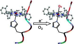 Graphical abstract: Analogues of oxy-heme Aβ: reactive intermediates relevant to Alzheimer's disease