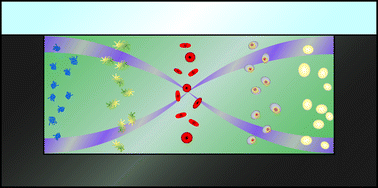 Graphical abstract: Acoustofluidics 8: Applications of acoustophoresis in continuous flow microsystems