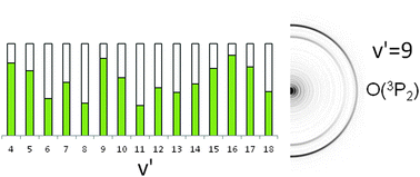 Graphical abstract: Experimental and theoretical investigation of correlated fine structure branching ratios arising from state-selected predissociation of BrO (A2Π3/2)