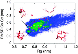 Graphical abstract: A hybrid MD-kMC algorithm for folding proteins in explicit solvent