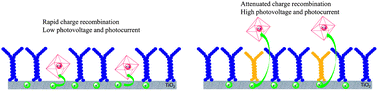 Graphical abstract: Judicious selection of a pinhole defect filler to generally enhance the performance of organic dye-sensitized solar cells