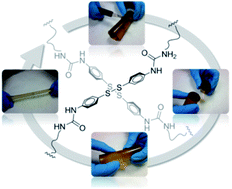 Graphical abstract: Catalyst-free room-temperature self-healing elastomers based on aromatic disulfide metathesis