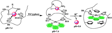 Graphical abstract: PtCl2(phen) disrupts the metal ions binding to amyloid-β peptide