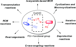 Graphical abstract: Recent advances in the Cu(i)-catalyzed azide–alkyne cycloaddition: focus on functionally substituted azides and alkynes