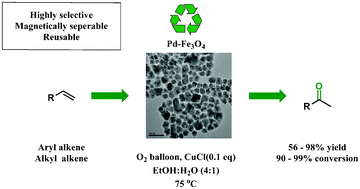 Graphical abstract: Highly selective Wacker oxidation of terminal olefins using magnetically recyclable Pd–Fe3O4 heterodimer nanocrystals