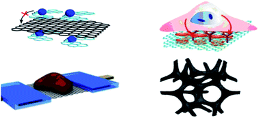 Graphical abstract: Bioinspired prospects of graphene: from biosensing to energy