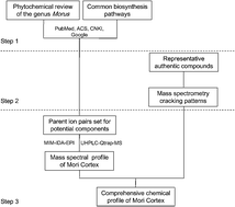 Graphical abstract: A practical strategy for chemical profiling of herbal medicines using ultra-high performance liquid chromatography coupled with hybrid triple quadrupole-linear ion trap mass spectrometry: a case study of Mori Cortex