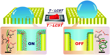 Graphical abstract: A chemo-mechanical switch for controllable water transportation based on a thermally responsive block copolymer