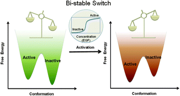 Graphical abstract: A second molecular biology revolution? The energy landscapes of biomolecular function