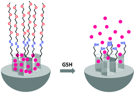 Graphical abstract: Highly selective and sensitive detection of glutathione using mesoporous silica nanoparticles capped with disulfide-containing oligo(ethylene glycol) chains