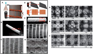 Graphical abstract: Electrospun membranes: control of the structure and structure related applications in tissue regeneration and drug delivery