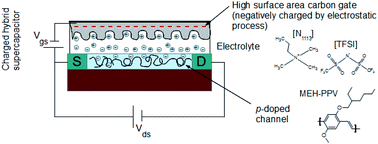 Graphical abstract: TransCap: a monolithically integrated supercapacitor and electrolyte-gated transistor