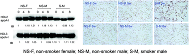 Graphical abstract: Consumption of high-dose vitamin C (1250 mg per day) enhances functional and structural properties of serum lipoprotein to improve anti-oxidant, anti-atherosclerotic, and anti-aging effects via regulation of anti-inflammatory microRNA