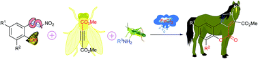 Graphical abstract: Three-component reaction between substituted 2-(2-nitrovinyl)-phenols, acetylenedicarboxylate and amines: diversity-oriented synthesis of novel pyrrolo[3,4-c]coumarins
