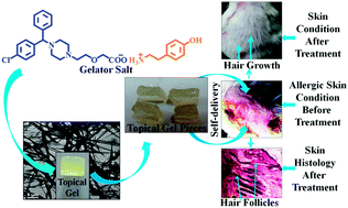 Graphical abstract: Cetirizine derived supramolecular topical gel in action: rational design, characterization and in vivo self-delivery application in treating skin allergy in mice