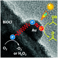 Graphical abstract: Crystal-facet-dependent hot-electron transfer in plasmonic-Au/semiconductor heterostructures for efficient solar photocatalysis