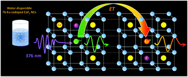 Graphical abstract: Energy transfer in color-tunable water-dispersible Tb–Eu codoped CaF2 nanocrystals