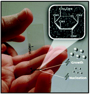 Graphical abstract: Microchip in situ electrosynthesis of silver metallic oxide clusters for ultra-FAST detection of galactose in galactosemic newborns’ urine samples