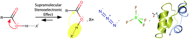 Graphical abstract: Z-effect reversal in carboxylic acid associates