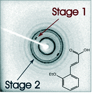 Graphical abstract: Photodimerisation of the α′-polymorph of ortho-ethoxy-trans-cinnamic acid occurs via a two-stage mechanism at 343 K yielding 100% α-truxillic acid