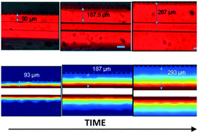 Graphical abstract: Design considerations to minimize the impact of drug absorption in polymer-based organ-on-a-chip platforms
