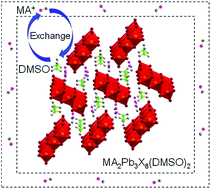 Graphical abstract: Critical kinetic control of non-stoichiometric intermediate phase transformation for efficient perovskite solar cells