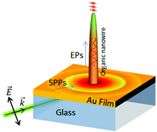 Graphical abstract: Plasmon-controlled excitonic emission from vertically-tapered organic nanowires
