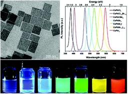 Graphical abstract: Generalized colloidal synthesis of high-quality, two-dimensional cesium lead halide perovskite nanosheets and their applications in photodetectors