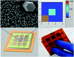 Graphical abstract: A flexible field-limited ordered ZnO nanorod-based self-powered tactile sensor array for electronic skin