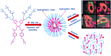 Graphical abstract: Fabrication of nanostructures through self-assembly of non-ionic amphiphiles for biomedical applications