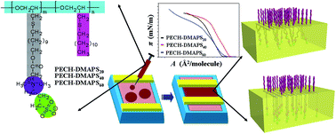 Graphical abstract: Self-assembling characteristics of amphiphilic zwitterionic brush random copolymers at the air–water interface