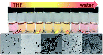 Graphical abstract: Supramolecular assembly of platinum-containing polyhedral oligomeric silsesquioxanes: an interplay of intermolecular interactions and a correlation between structural modifications and morphological transformations