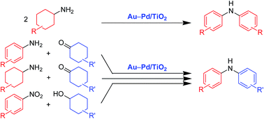 Graphical abstract: Versatile routes for synthesis of diarylamines through acceptorless dehydrogenative aromatization catalysis over supported gold–palladium bimetallic nanoparticles