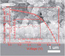 Graphical abstract: Enhanced photovoltaic performance and stability of carbon counter electrode based perovskite solar cells encapsulated by PDMS